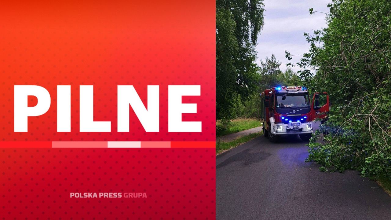 Silny wiatr w Koszalinie i okolicach. Strażacy z regionu interweniują