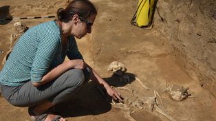 We Wroninie archeolodzy odsłaniają tysiącletnie szkielety pierwszych chrześcijan