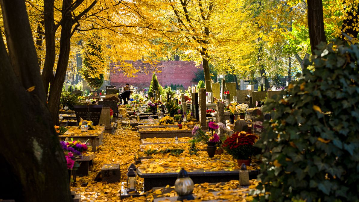 Katowice, 28.10.2021. Cmentarz przy ul. Francuskiej w Katowicach, 28 bm.  (kf) PAP/Andrzej Grygiel