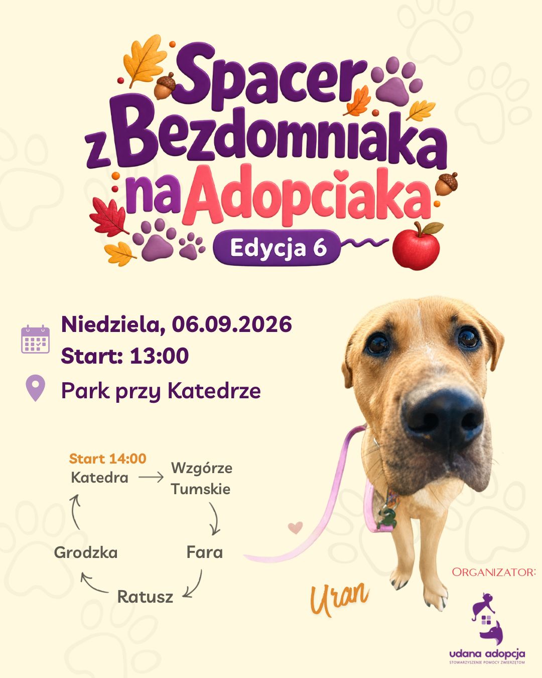 'Spacer z Bezdomniaka na Adopciaka" 