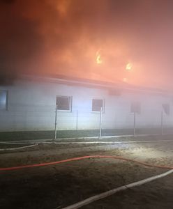 Wielki pożar na Pomorzu. Ogromne straty