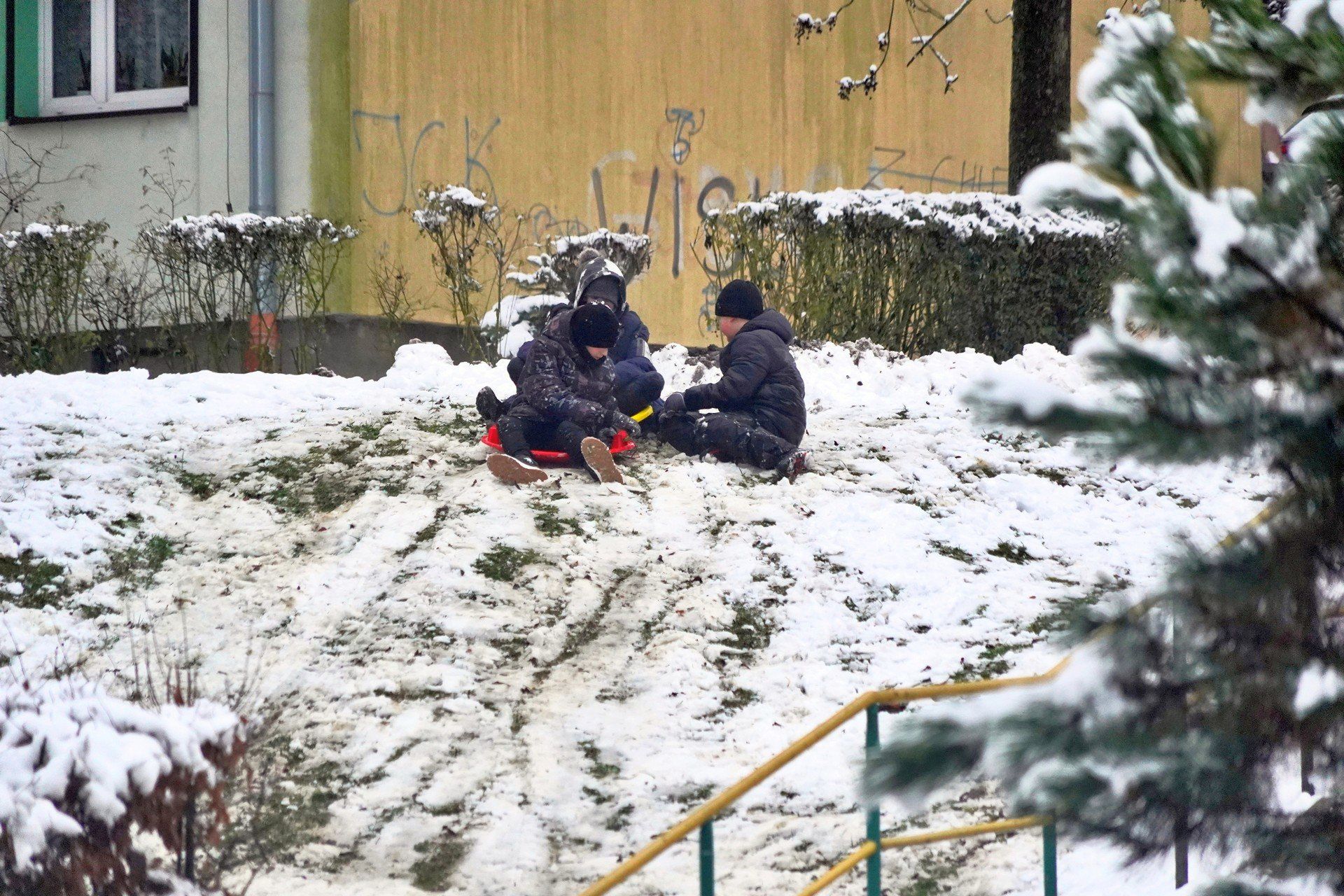 Gdzie na sanki w Olkuszu? - zdjęcie poglądowe
