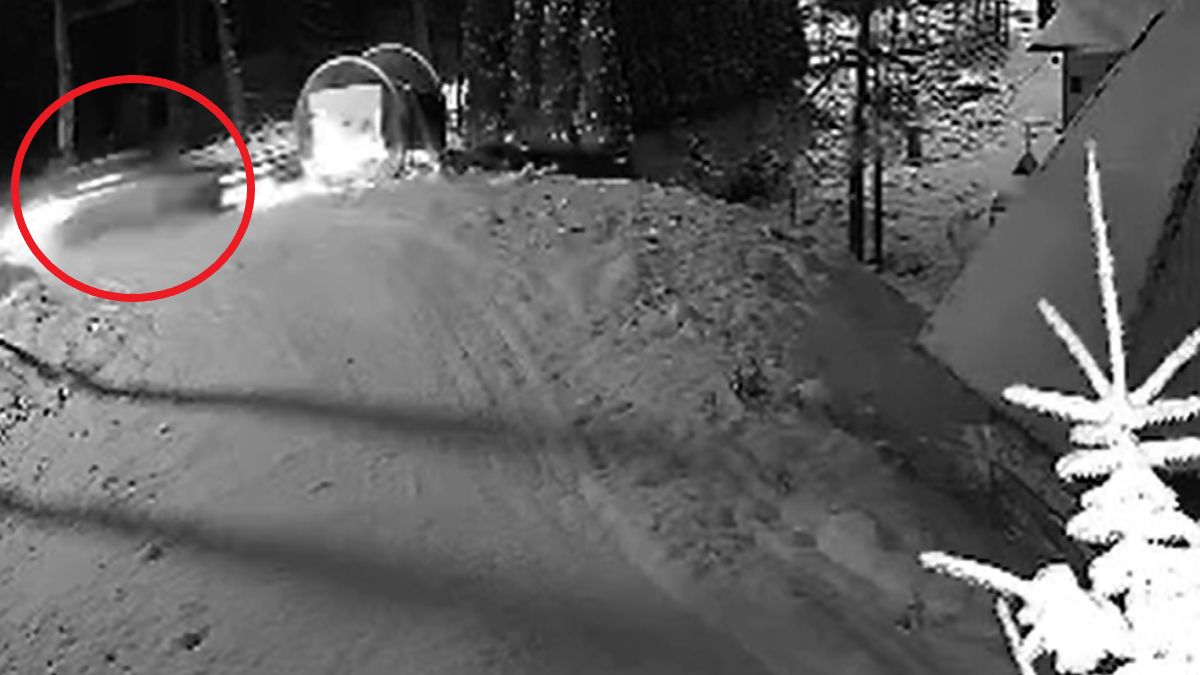 Kierowca staranował płot