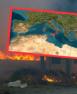 Gdzie są pożary w Europie? Te kraje walczą z ogniem