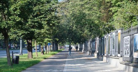 Prognoza pogody dla Lublina: ciepły weekend, słoneczna sobota