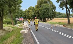 Wypadek pod Płockiem. Na drogę wypadły kury