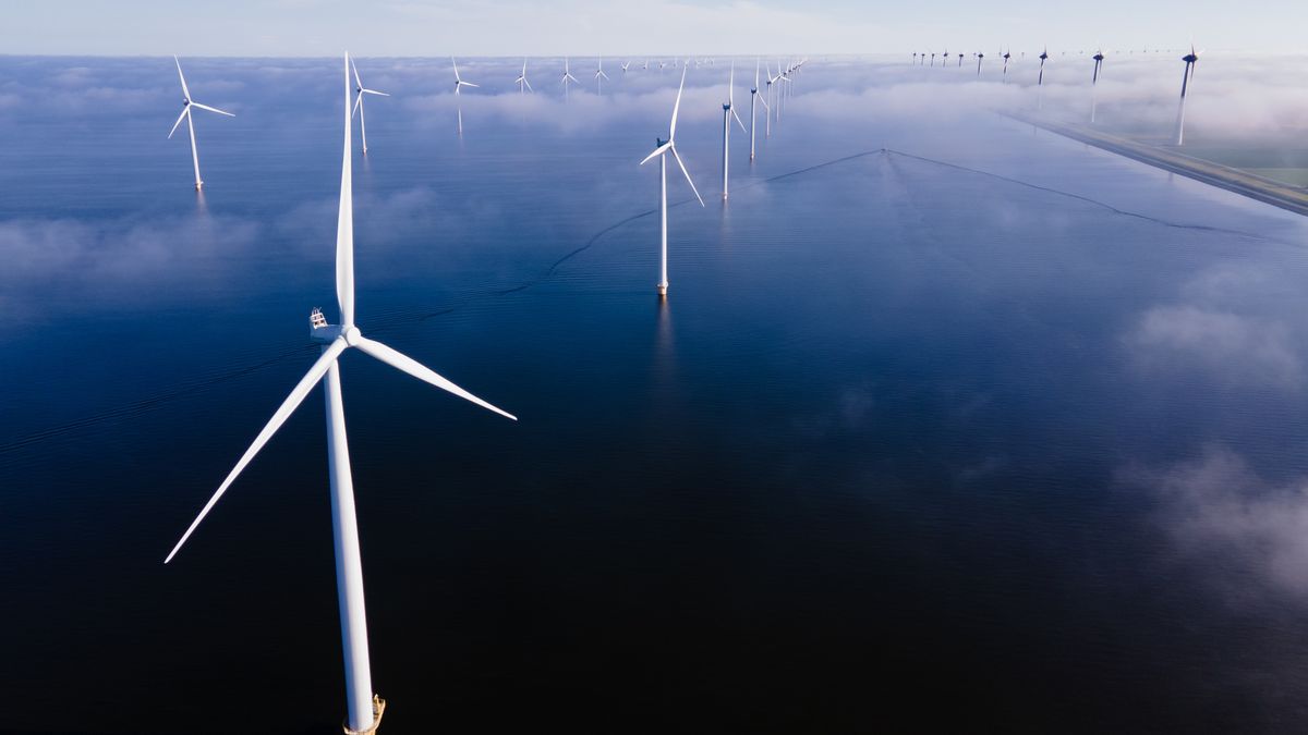 Wiceminister klimatu i środowiska: pod koniec 2025 r. pierwsze morskie farmy wiatrowe zostaną przyłączone do systemu energetycznego