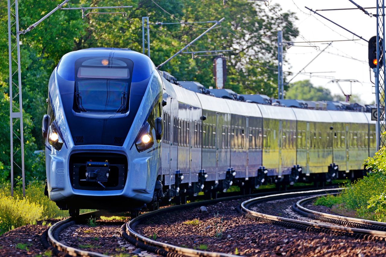 Pociąg dotarł do Polski bez kilku wagonów. Wszystko przez łosia