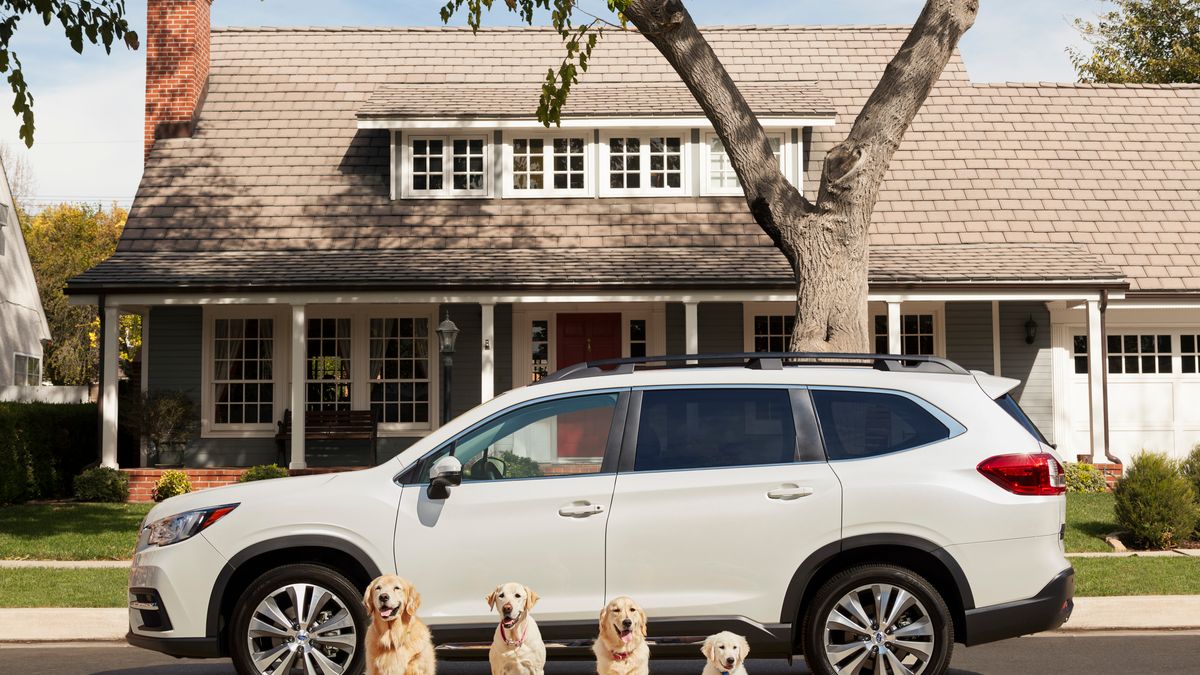 To już trzecia odsłona serii reklam "Dog Tested. Dog Approved" amerykańskiego oddziału Subaru.
