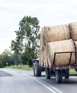 Emerytura dla rolnika. Tyle wynosi dla osób z 25‑letnim stażem