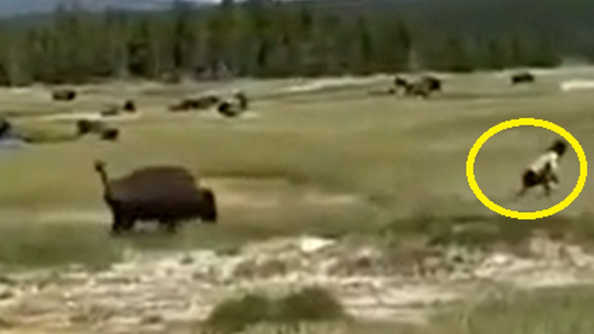 Kobieta upadła podczas ucieczki