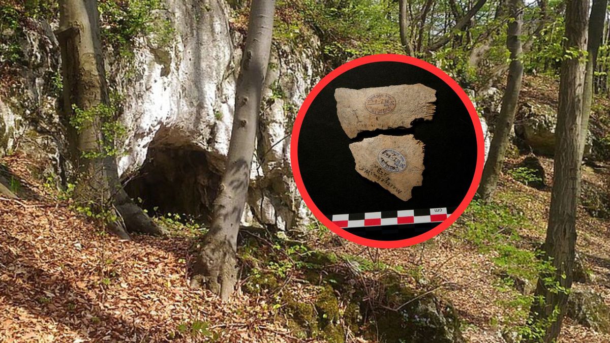 Szokujące odkrycie w polskiej jaskini