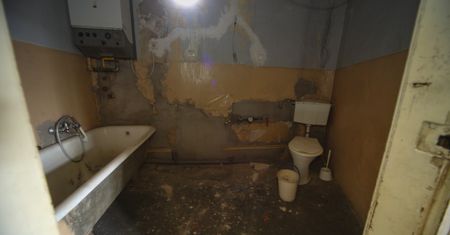Grzyby w domu mogą być tylko na talerzu. Tak się zwalcza łazienkowe intruzy