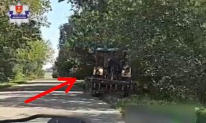 Nagrała traktorzystę. 70-latek w pewnym momencie wjechał w krzaki