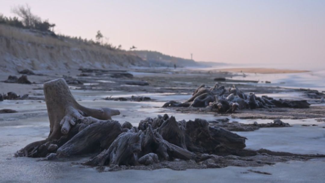 wiadomości,aktualności,WP Wiadomości Tajemnica Bałtyku odsłonięta. Za moment może zniknąć