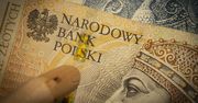 Złoty gwałtownie zmienił kurs. Co się dzieje?