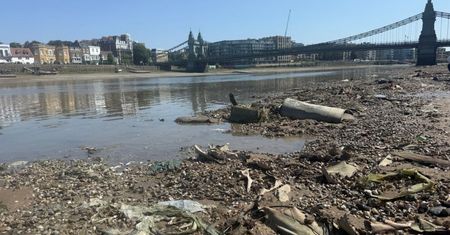 180 ton czeka na usunięcie. Londyn walczy z niechlubną wyspą na Tamizie