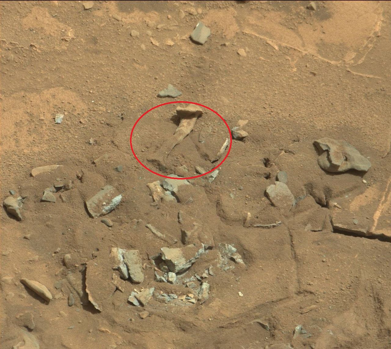 "Kość" na powierzchni Marsa.