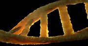 DNA jest wszędzie i działa jak odcisk palca. Rodzi to poważny problem