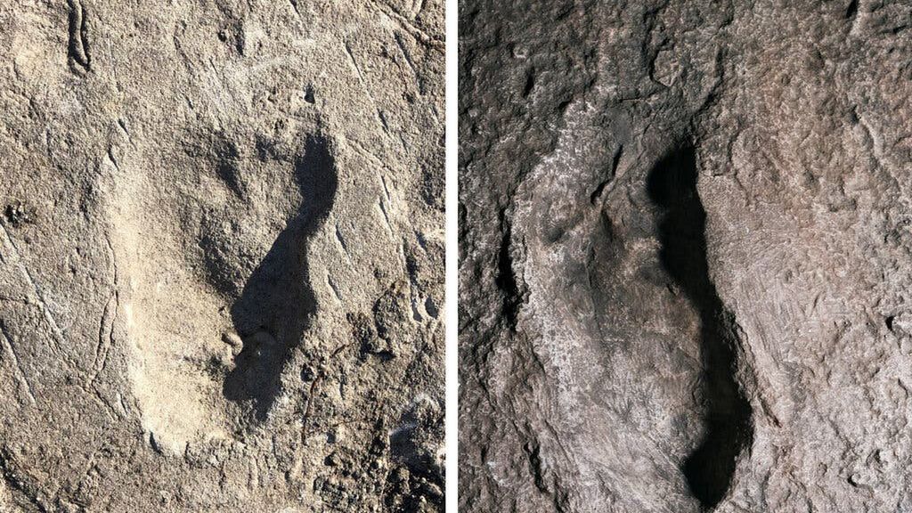 Ślady stóp miał zostawić nieznany praprzodek człowieka