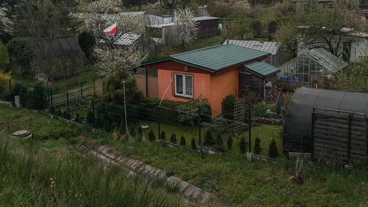 Działkowicze zakładają kolce na ogrodzenia