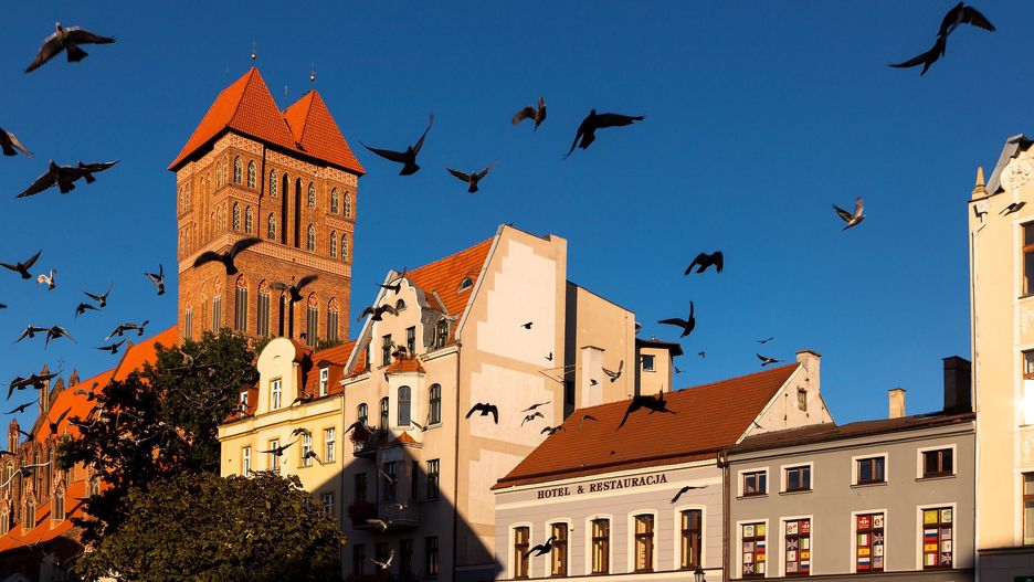 Toruń