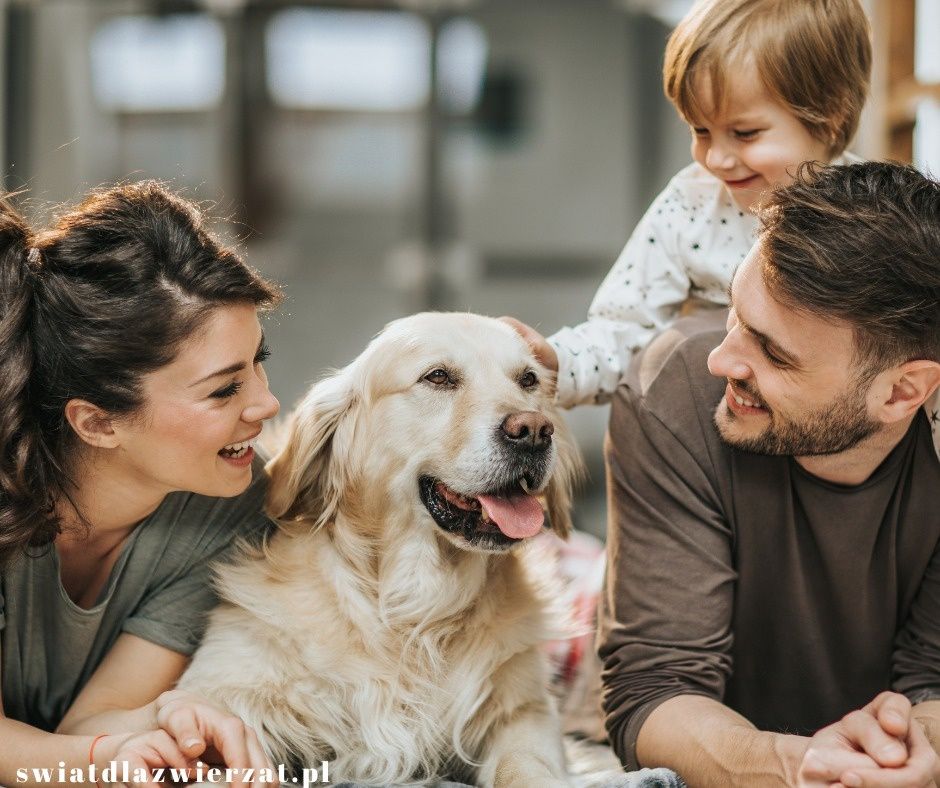 Jakie imię dla dużego psa, np. labradora?