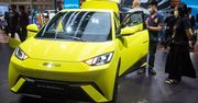 Chiński bestseller w Europie. Ford "martwi się nową konkurencją"