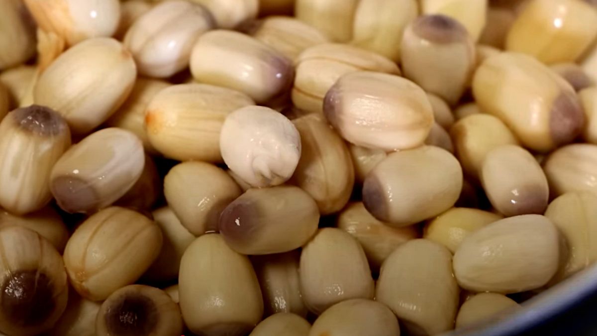 Nasiona lotosu to prosty składnik o wszechstronnym działaniu.