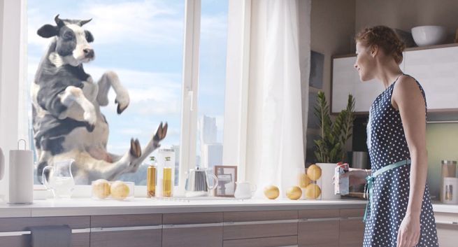 Krowa skacząca na trampolinie reklamuje śmietanki Łaciate (wideo)