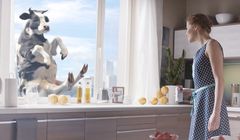 Krowa skacząca na trampolinie reklamuje śmietanki Łaciate (wideo)