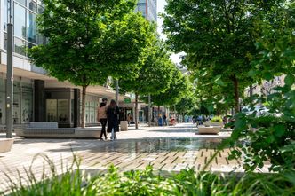 Miliony na zieleń w Poznaniu