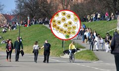 20 stopni w cieniu. Za kilka dni eksplozja ciepła