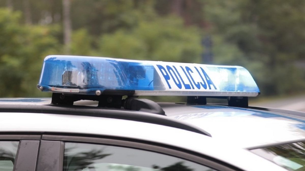 policja