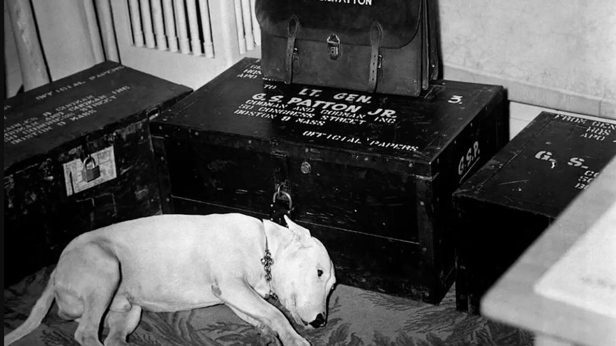 Śmierć gen. Pattona. Pies wyczekiwał w smutku na jego powrót 1