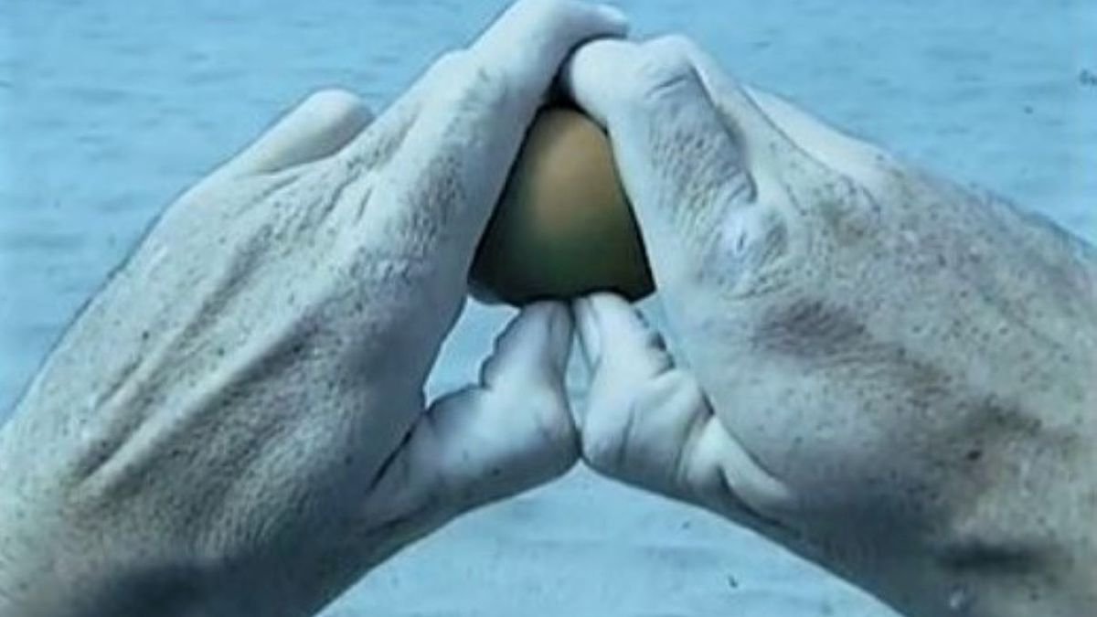 TikToker postanowił przeprowadzić nietypowy eksperyment w oceanie 