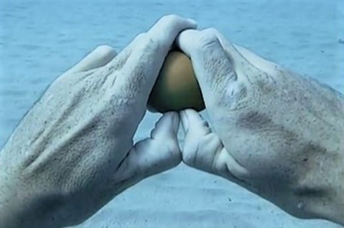Rozbił jajko na dnie oceanu. Niewiarygodne, co się potem stało