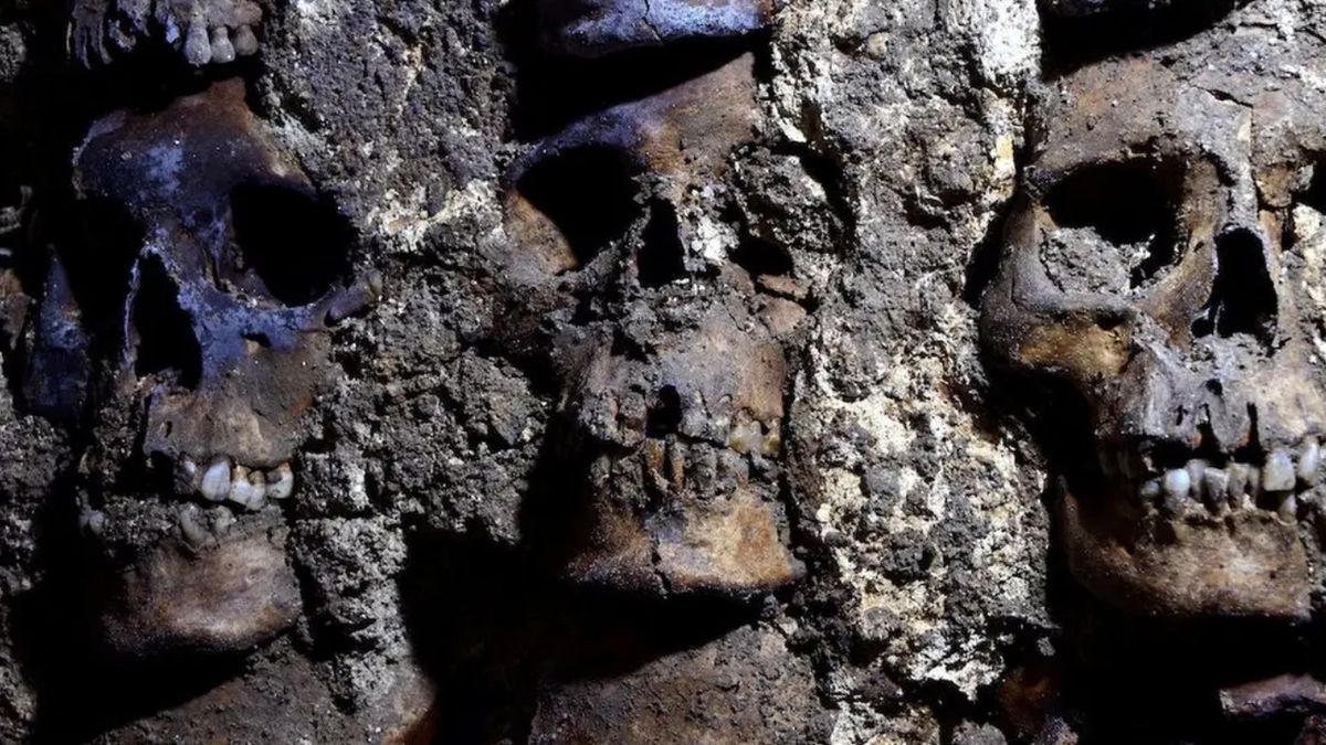 wieza z czaszek meksyk odkrycie archeologow