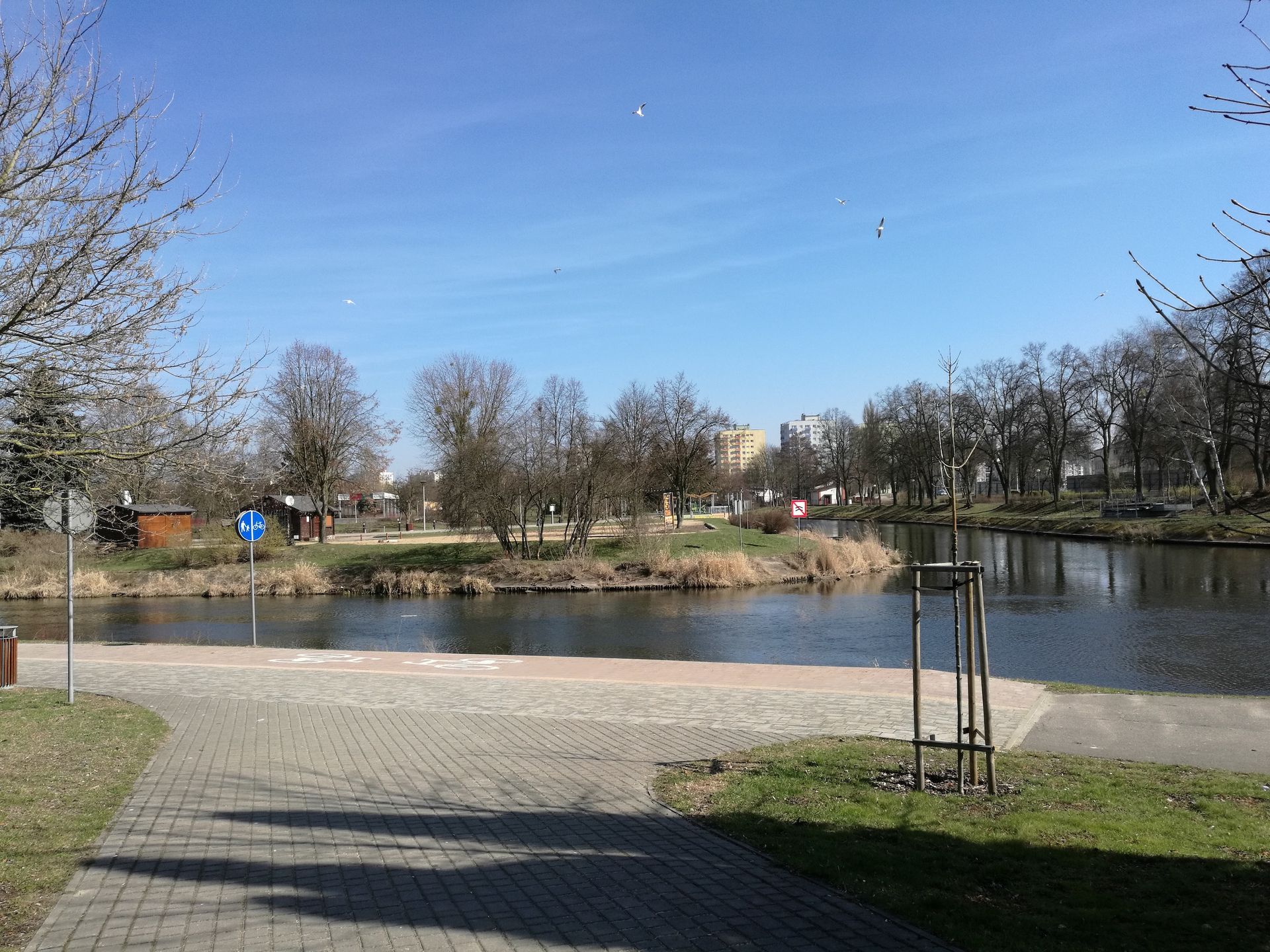 Huawei Mate 8 - test i recenzja 31