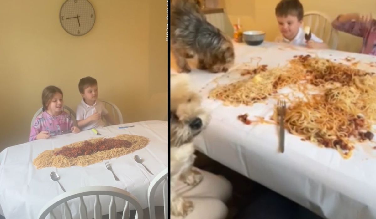 Rzuciła dzieciom obiad na stół. Przyłączyły się nawet psy