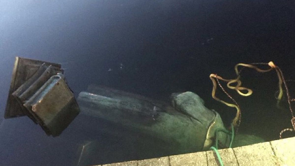 Pomnik Krzysztofa Kolumba został podpalony i wrzucony do jeziora.