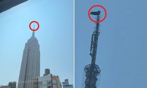 Oświadczyny na szczycie Empire State Building. Nagranie mrozi krew w żyłach