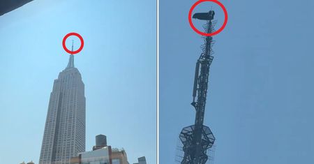 Oświadczyny na szczycie Empire State Building. Nagranie mrozi krew w żyłach