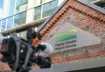 "Migrują" 200 km, by zameldować się i wygrać przetarg. Rolnicy rozkładają ręce