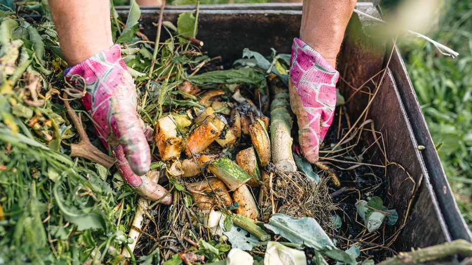 composting, organic, compost heap, garden, plant, earth, environment, fertilizer, recycling, soil enrichment, nature, gardening, california worms, food waste, gardening waste, vegetable, decompose, compost, agriculture, soil, household, litter, peel, green, environmental, hand, heap, natural, recycle, farming, ecology, scraps, microorganism, material, recycling plant, organism, mineral, horticulture, mulching, zero waste, ground, container, decay, sheet, biodegradable, rotting, composter