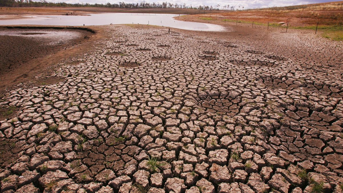 Jednym ze skutków zmian klimatu są długotrwałe susze