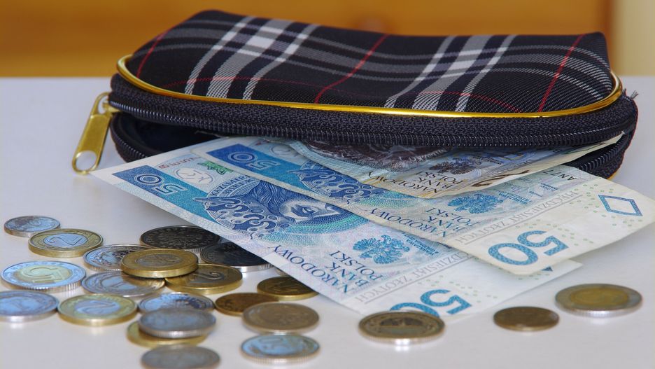 Stock MaBa
PHOTO: ZOFIA I MAREK BAZAK / EAST NEWS 
 N/z pieniadze, banknoty o nominale 10 i 50zl, monet i portmonetka
ZOFIA BAZAK