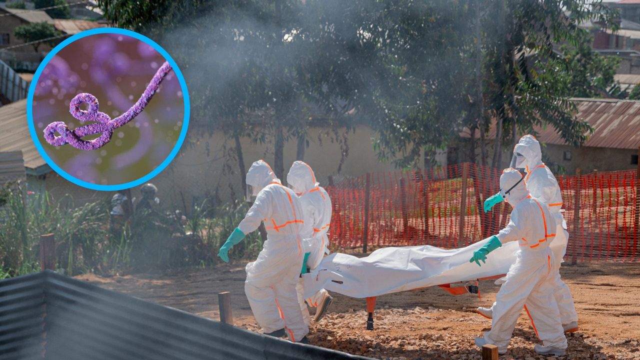 Wirus rozprzestrzenia się szybciej niż kiedykolwiek. Tysiąc ofiar epidemii