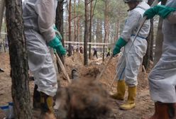 Masowe groby w Izium. Rosjanie zgotowali tam piekło