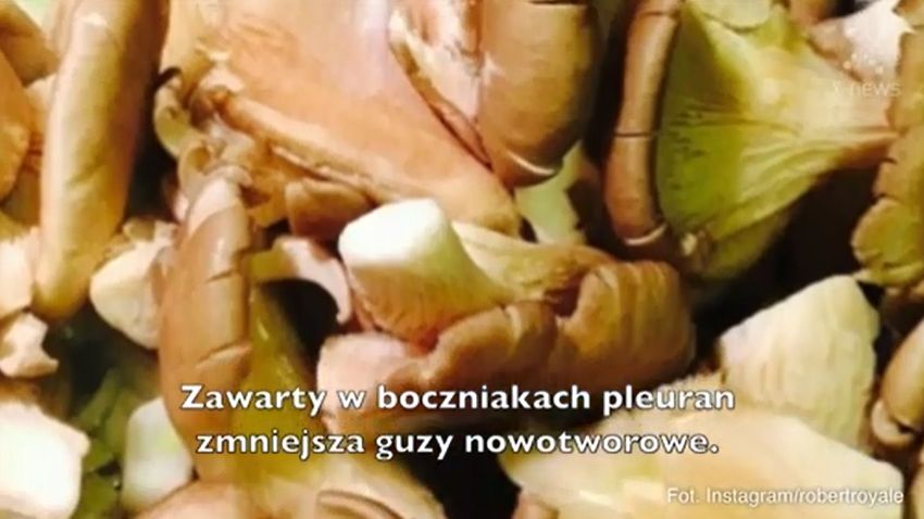 Grzyby są nie tylko bardzo smaczne, ale też zdrowe 